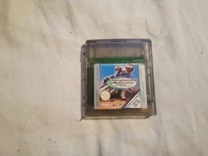 nintendo gameboy colour championship motocross 2001 game - Picture 1 of 1