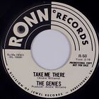The Genies Take Me There  Does Anyone Know Us Ronn Soul Promo 45 Nm  Mp3