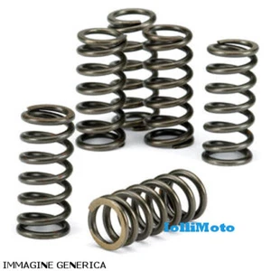 KIT MOLLE DELLA FRIZIONE RINFORZATE +10% HONDA XRV 750 AFRICA TWIN '90/03 - Foto 1 di 2