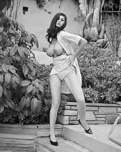 Sexy modelo pin up tetona Lillian Parker #M110 estampado 8x10 - Imagen 1 de 1