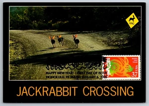 3895d Chinese Lunar New Year Rabbit FDC Maxi Card - Picture 1 of 2