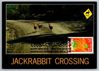 3895d Chinese Lunar New Year Rabbit FDC Maxi Card - Image 1 of 2