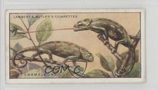 1924 Lambert & Butler Wonders of Nature Tobacco Chameleons #9 z6d
