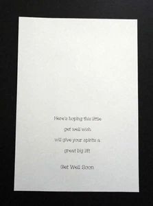 Card Inserts -Assorted "Get Well" Greetings-7" x 5" Cards (Landscape) Pkt 20 - Picture 1 of 5