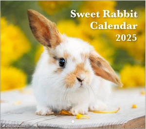 Active Corporation 2025 Kalender Wandbehang Hase 25ACL-36 Start Jan JP - Bild 1 von 6