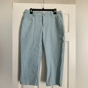 Baccini Cropped Pants - Striped - Picture 1 of 6