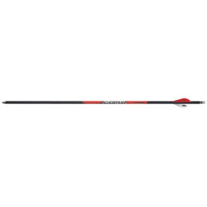 Black Eagle Carnivore Arrows Ultra-Light 30-50 .001 6 pk. - Picture 1 of 1