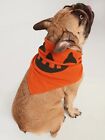 Old Navy Halloween-Print Bandana for Pets Dogs Orange Pumpkin Size S-M