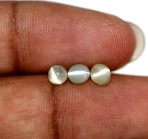 3 Pcs Untreated Natural Round Chrysoberyl Cats Eye 1.61 Ct Certified Gemstone - Picture 1 of 22