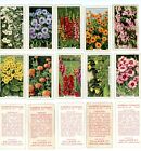 1938 Gallaher Cigarettes Garden Flowers Complete Set 48 Cards