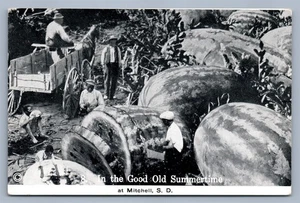MITCHELL SD EXAGGERATED WATERMELONS ANTIQUE POSTCARD - Picture 1 of 2