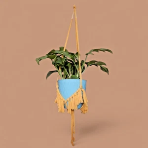 COLGADOR DE PLANTA DE MACRAME AMARILLO VARILLA DE ORO algodón 34" de largo bohemio borlas boho 2J - Imagen 1 de 6
