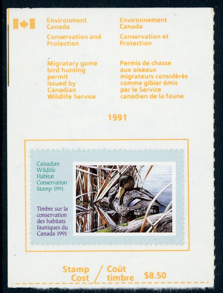 CANADÁ 1991 CON LICENCIA #FWH7 ¡PATO NEGRO!! NN96 Foto 1 de 1