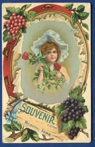 Beaver Iowa ia young girl tambourine grapes souvenir chrome postcard - Picture 1 of 2