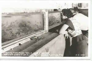Walk Under Water, "Natures Giant Fish Bowl", Homosassa, Florida, 1950s RPPC - Bild 1 von 2