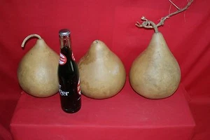 3 -  8"  SECOND QUALITY MARTIN GOURDS (WASHED AND DRIED ) - Picture 1 of 2