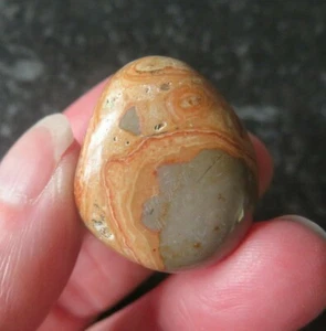 SCHÖNER LEOPARDIT (JASPIS) (18,4 Gramm / 27 mm) TROMMELSTEIN (5) "AUSGLEICHEND" - Bild 1 von 7