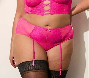 Panty de liga extraíble descarada malla corazón rosa Lane Bryant talla grande 18/20, 2X - Imagen 1 de 8