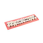 28Pcs Resin Teeth Model Durable Dentures Universal False 'Teeth Dental MateriaXK