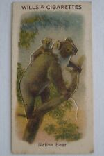 Animals Vintage 1916 WWI Era Wills Antiquarian Pop Out Trade Card Native Bear