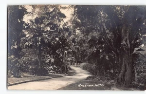 Faulty Cool Haleiwa Hotel Gardens~by Ray Jerome Baker? Hawaii RPPC Postcard -P1 - Picture 1 of 4