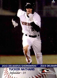 2013 Delmarva Shorebirds Brandt 16 Tucker Nathans Warwick New York Baseball Card