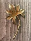 Signed Coro Brooch Pin Jewelry Palm Tree Gold Tone Vintage 3”X 1.75” MCM Hat