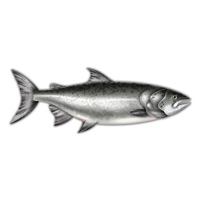 Fishing Sticker Salmon Waterproof Decal Mountain Fish Car Window Bumper Outdoor - Image 1 of 4
