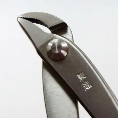 Плоскогубцы для бонсай Kaneshin Bonsai Tools #820 из нержавеющей стали JIN 175 мм (6,88 дюйма) маленькие - Изображение 1 из 4