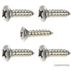 Phillips Oval Head Sheet Metal Screw 316 Stainless Steel #6 x 1/2" Qty 100