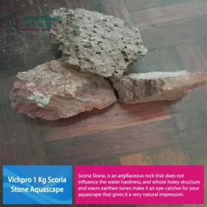 Vichpro 1 Kg Scoria Stone Fish Reptile Aquarium Iwagumi Natural Aquascape - Picture 1 of 3