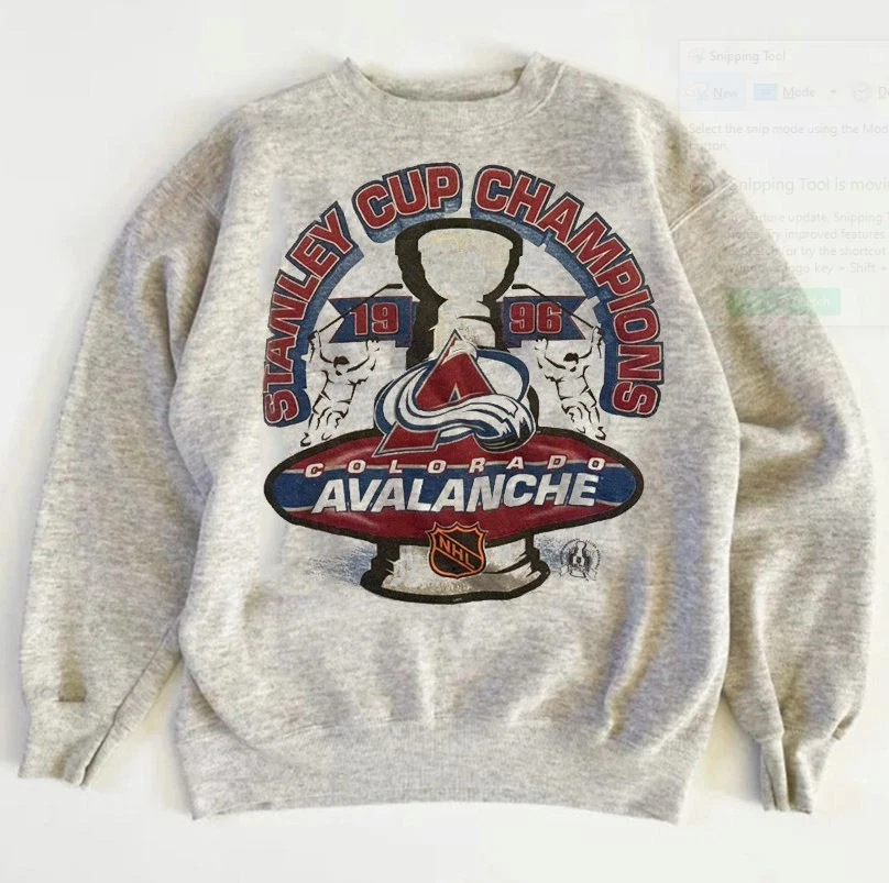 Винтажная толстовка 1996 Colorado Avalanche Stanley Cup Champions VK05299 - Изображение 1 из 1
