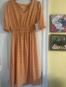 Indigo Rose 1X Pfirsichfarbenes Kleid mit V-Ausschnitt ~ Neu mit Etikett - Bild 1 von 6