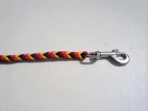 Paracord XL Guinzaglio per Cani Intrecciato Fatto a Mano Puoi Scegliere i 3 Colori (3 Piedi) - Foto 1 di 2