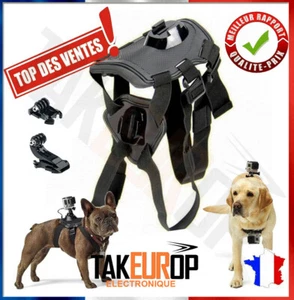 Chien Caméra Support GOPRO Hound Animal Caméscope Harnais Ceinture Sport Chest - Imagen 1 de 4
