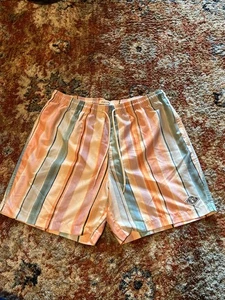 PacSun Men’s Pastel Breaker Stripe 17" Swim Trunks Size Large - Picture 1 of 14