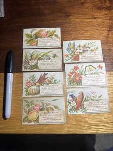 6-Joseph H. Coppuck Trade Cards- Esculapian-Mount Holly, NJ.  U488 - Picture 1 of 4