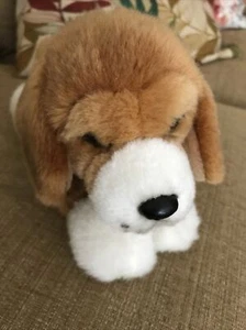 Retired Beagle Hound Dog Webkinz Plush NO code - Picture 1 of 7