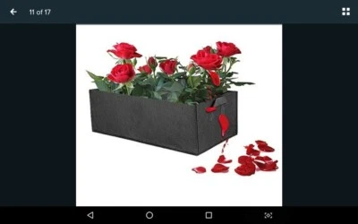 Small Black Fabric Raised Garden Bed, Square Flower/Vegetable Bag with Handles - Image 1 of 4