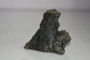 Vivarium Terrarium Small Nano Forest Kinabalu Ornament 8 x 6 x 4 cms Spiders - Picture 1 of 6