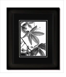 11x14 mattschwarz Rahmen mit Glas & schwarz/schwarz Matte für 8,5x11 - Bild 1 von 4