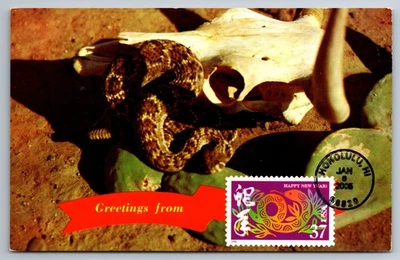 3895f Chinese Lunar New Year Snake FDC Maxi Card - Image 1 of 2