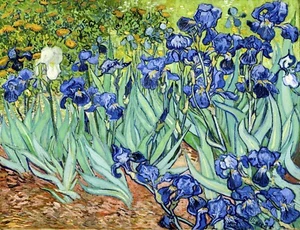 Irises By Vincent Van Gogh Giclee Archival Fine Art Paper Reproduction - Picture 1 of 2