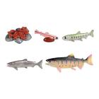 Life Cycle of Salmon Toys Educational Teaching Props Cake Toppers Animal Growth