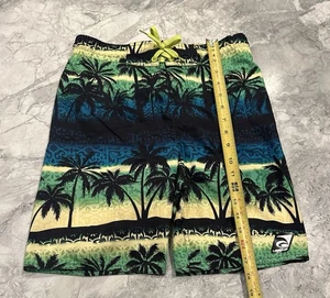 Laguna Big Boys M/10-12 (Medium) UPF 50 Swim Trunks Bathing Suit - Picture 1 of 5