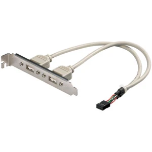 PC Slotblech 2 port Karte USB 2.0 auf  9 pin Motherboard 0,3m Blende Slotblende - Afbeelding 1 van 1