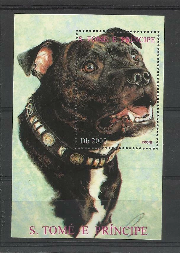  chien dog hund perro Bloc Feuillet oblitéré 73 San Tomé - Photo 1/1