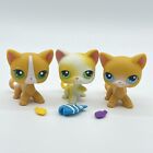 Littlest Pet Shop Curious Kitties Playset Cats & Fish Lot 71 72 #73 - LPS t2