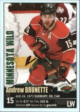 2009-10 Panini Stickers Wild Hockey Card #256 Andrew Brunette
