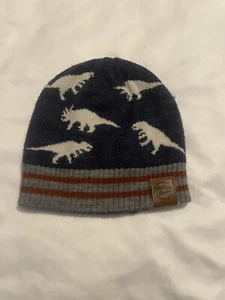 Oshkosh BGosh Kids Winter Beanie Dinosaurs Reversible 2T-4T PreOwned Good - Picture 1 of 5